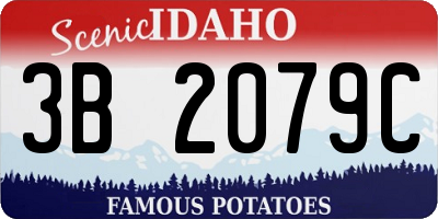 ID license plate 3B2079C