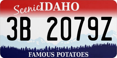 ID license plate 3B2079Z