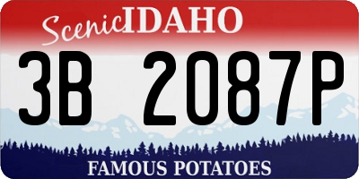 ID license plate 3B2087P