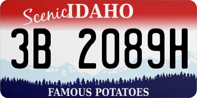 ID license plate 3B2089H