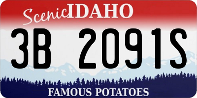 ID license plate 3B2091S