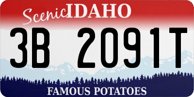 ID license plate 3B2091T