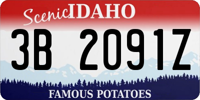 ID license plate 3B2091Z