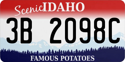 ID license plate 3B2098C