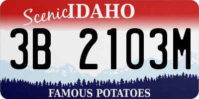 ID license plate 3B2103M