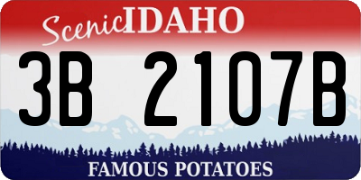 ID license plate 3B2107B