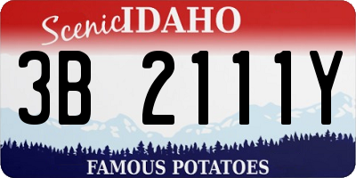 ID license plate 3B2111Y