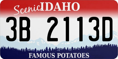 ID license plate 3B2113D