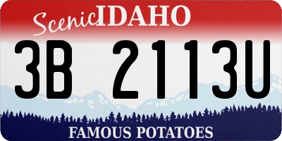 ID license plate 3B2113U