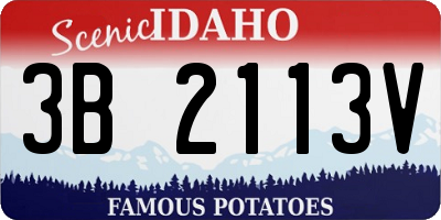 ID license plate 3B2113V