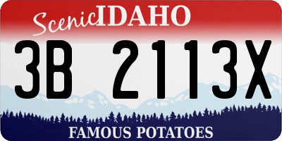 ID license plate 3B2113X