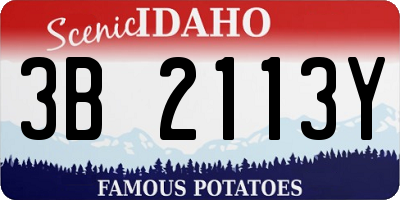 ID license plate 3B2113Y