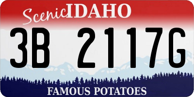 ID license plate 3B2117G