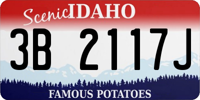 ID license plate 3B2117J