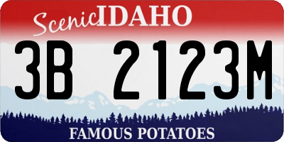 ID license plate 3B2123M