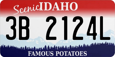 ID license plate 3B2124L