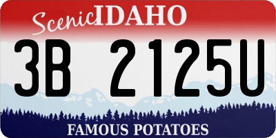 ID license plate 3B2125U