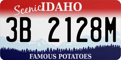 ID license plate 3B2128M