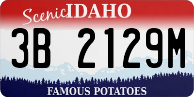 ID license plate 3B2129M