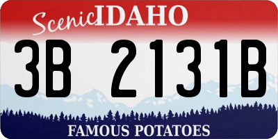 ID license plate 3B2131B