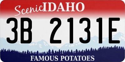 ID license plate 3B2131E
