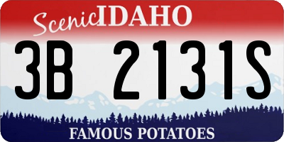 ID license plate 3B2131S