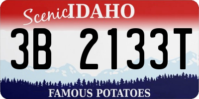 ID license plate 3B2133T