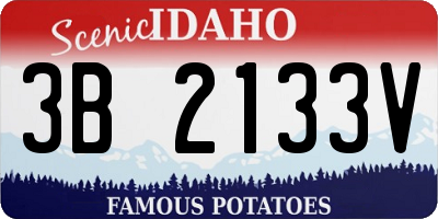 ID license plate 3B2133V