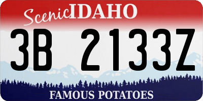 ID license plate 3B2133Z