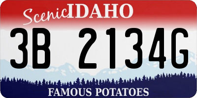 ID license plate 3B2134G