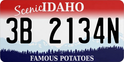 ID license plate 3B2134N