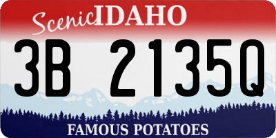 ID license plate 3B2135Q