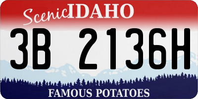 ID license plate 3B2136H