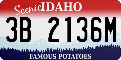 ID license plate 3B2136M
