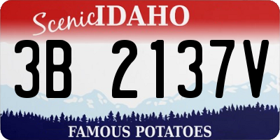 ID license plate 3B2137V