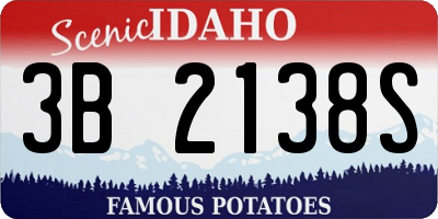 ID license plate 3B2138S