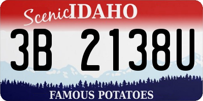 ID license plate 3B2138U