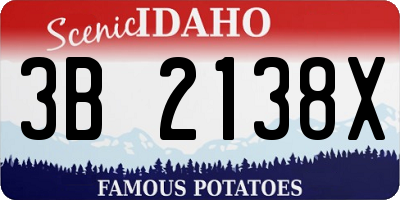 ID license plate 3B2138X