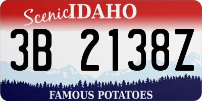 ID license plate 3B2138Z