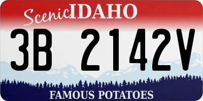 ID license plate 3B2142V