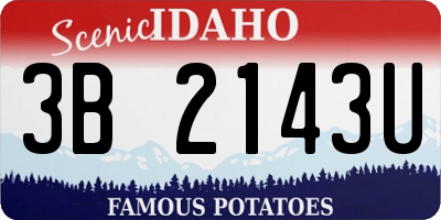 ID license plate 3B2143U