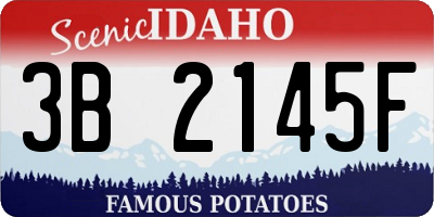 ID license plate 3B2145F