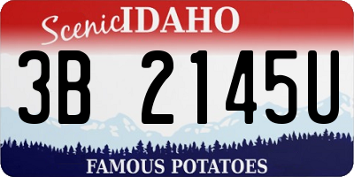 ID license plate 3B2145U