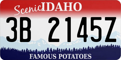 ID license plate 3B2145Z