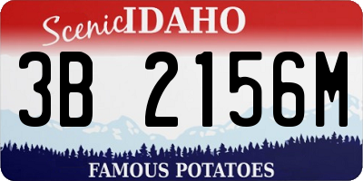 ID license plate 3B2156M