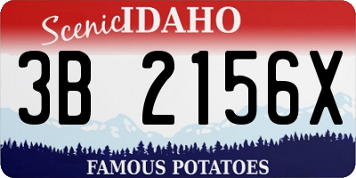 ID license plate 3B2156X