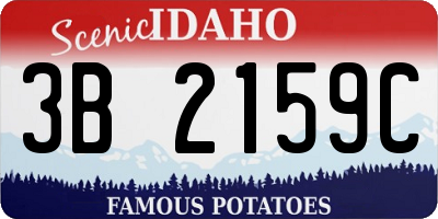 ID license plate 3B2159C
