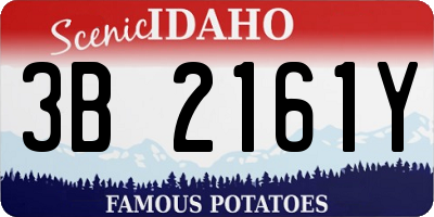 ID license plate 3B2161Y