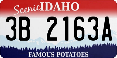 ID license plate 3B2163A