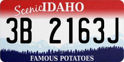 ID license plate 3B2163J